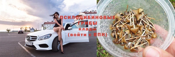 гашик Нея