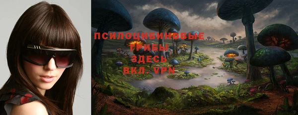 гашик Нея