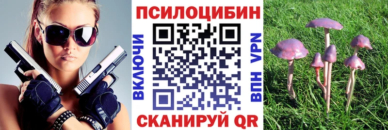 Галлюциногенные грибы ЛСД Шарыпово